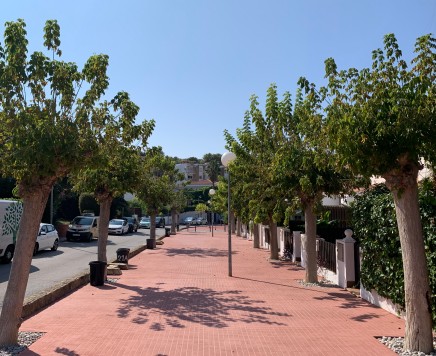 01 jardines carrusel