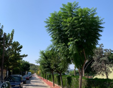 03 jardines carrusel