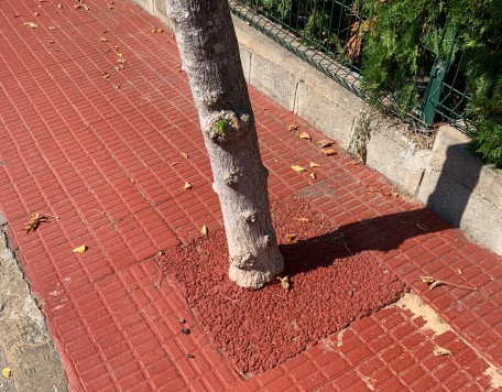 04 jardines carrusel