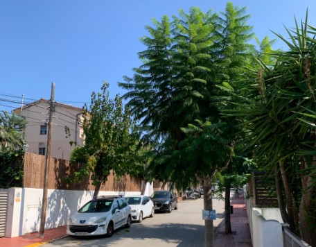 05 jardines carrusel