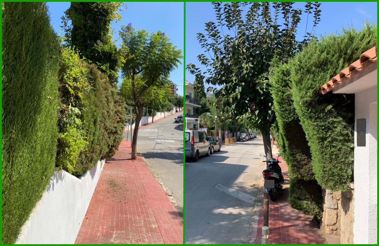 Cooperativa ofrece un servicio de poda (con coste) para que los jardines privados no invadan las aceras.