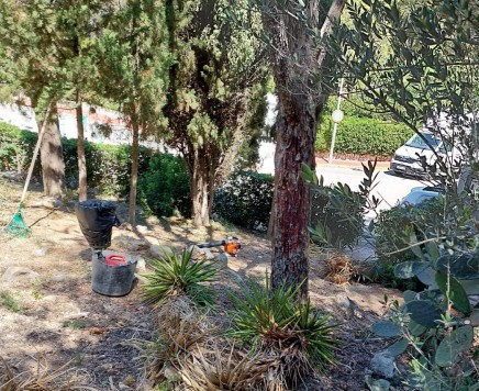 jardines carrusel 04